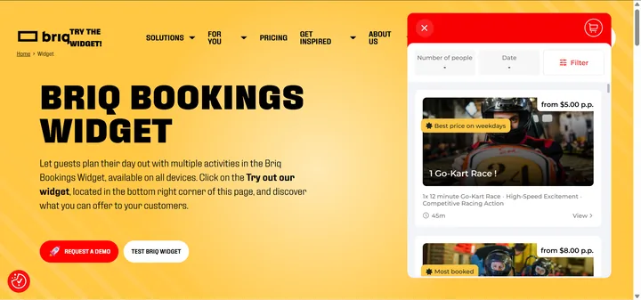 BriqBookings widget showcase